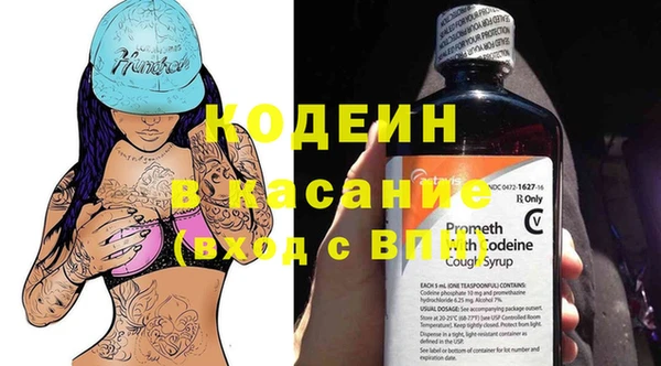 шишки Михайловск