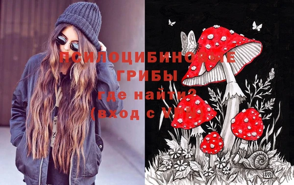 spice Медногорск