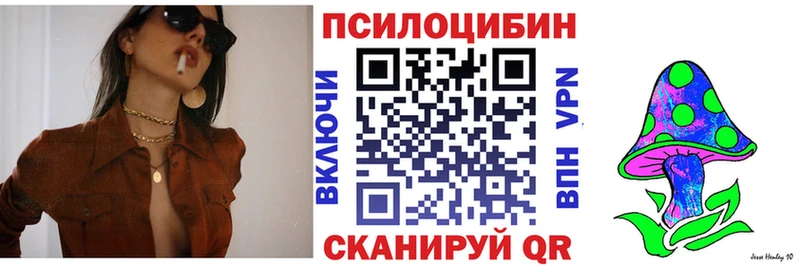закладки  Корсаков  Псилоцибиновые грибы Psilocybine cubensis 