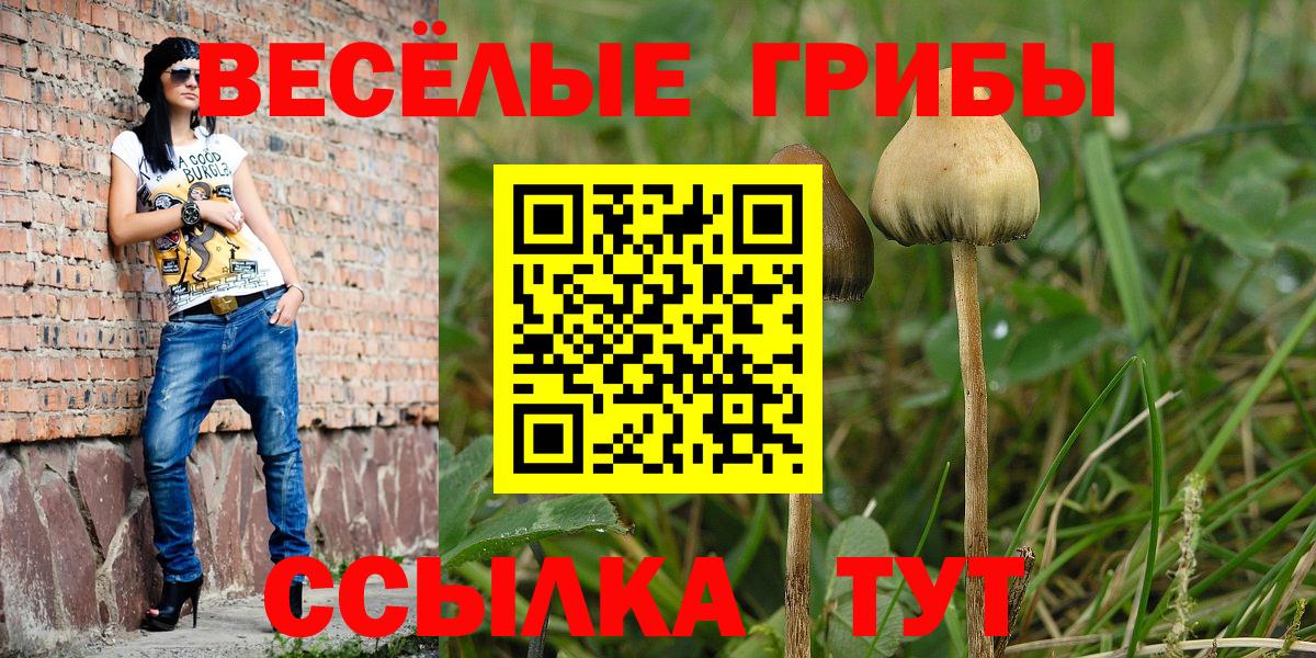 Псилоцибиновые грибы ЛСД  Вход с VPN  Корсаков 