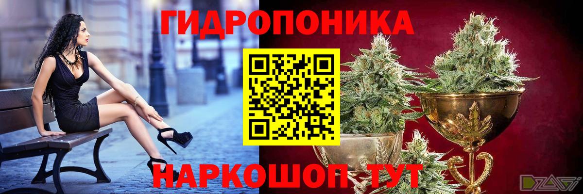 Бошки Шишки индика Корсаков